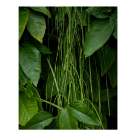 Suspended Nature Poster