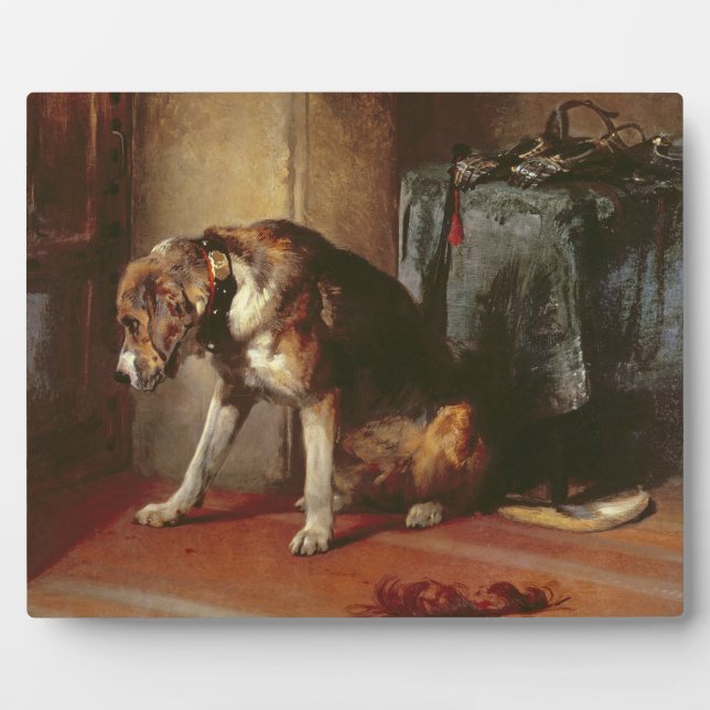 Suspense Fotoplatte (Vorderseite)