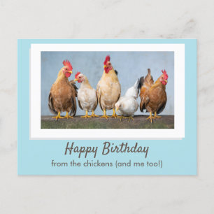 Süß Blau Alles Gute zum Geburtstag von den Hühnern Postkarte