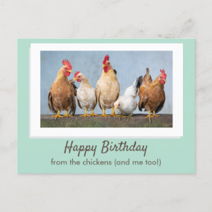Süß Grüner Alles Gute zum Geburtstag von den Hühne Postkarte