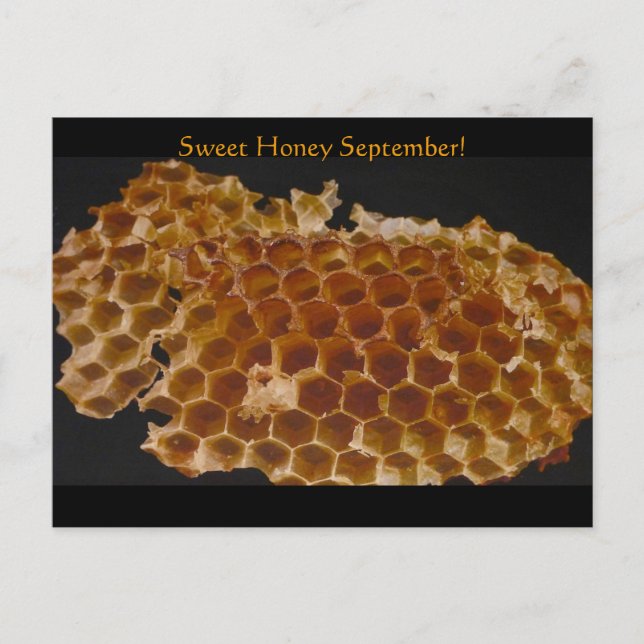 Süß Honey September! Postkarte (Vorderseite)