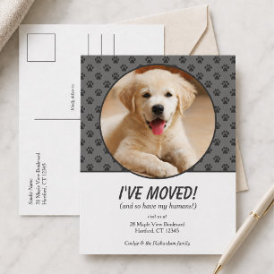Süß, ich bin umgezogen, individuelle Hunde-Foto-Po Postkarte