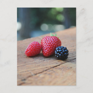 Süßberries Postkarte