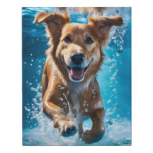 Süßbrauner und weißer Hund im Wasser eintauchen