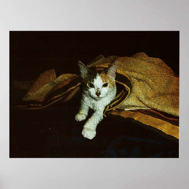 Süße als Kätzchen Poster (Vorne)