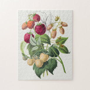 Süße alte Erdbeere botanisch floral