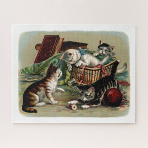 Süße alte Katzenbilder