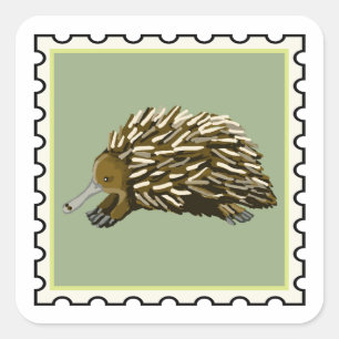 Süße Ameisenigel Australische Briefmarkenkunst Quadratischer Aufkleber