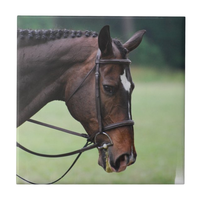 Süße arabische Pferdefliese Fliese (Vorderseite)