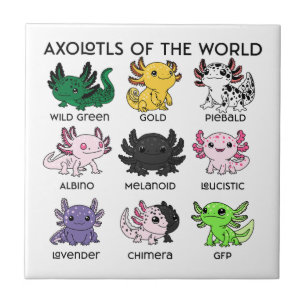 Süße Axolotl der Welt Fliese