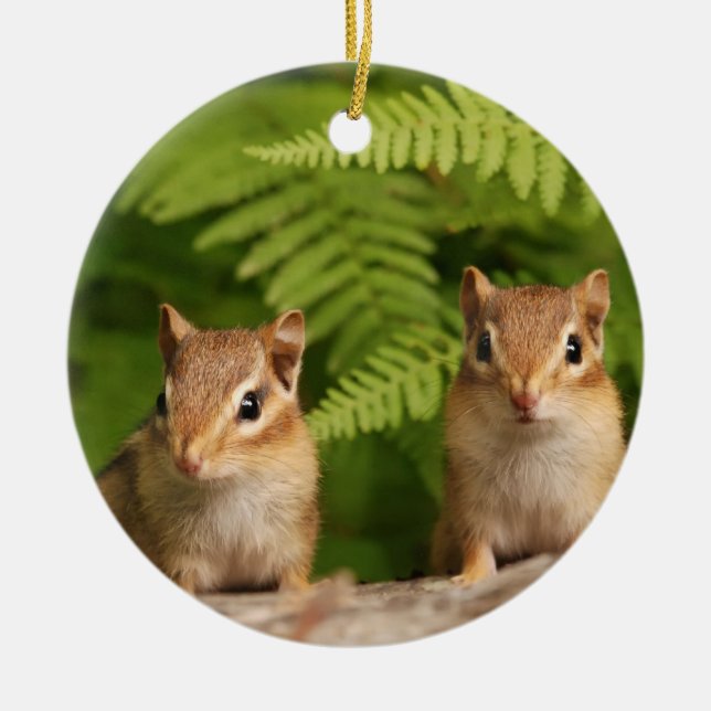 Süße Babychipmunk-Geschwister Keramik Ornament (Vorne)