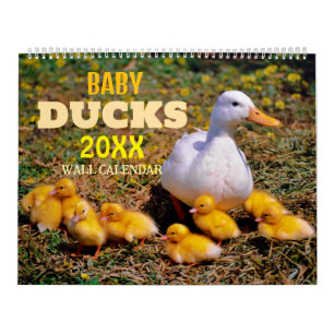 Süße Babyenten 2027 Wand Kalender