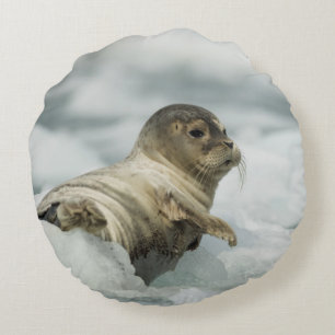 Süße Babyrobbe Rundes Kissen