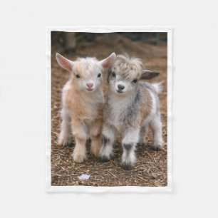Süße Babyziegen-Farmtiere-Fleece-Decke Fleecedecke