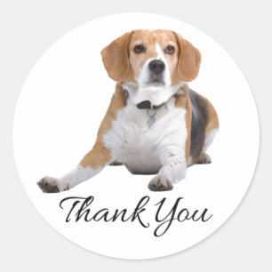 Süße Beagle-Hundliebhaber-Mama-Papa-Welpen-Dankesc Runder Aufkleber