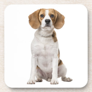 Süße Beagle-Mutter-Hundliebhaber-Welpen-Vater-Welp Getränkeuntersetzer