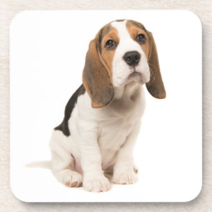 Süße Beagle-Mutter-Hundliebhaber-Welpen-Vater-Welp Getränkeuntersetzer
