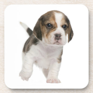 Süße Beagle-Mutter-Hundliebhaber-Welpen-Vater-Welp Getränkeuntersetzer