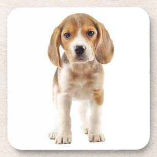 Süße Beagle-Mutter-Hundliebhaber-Welpen-Vater-Welp Getränkeuntersetzer