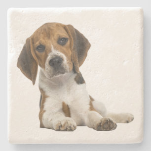Süße Beagle-Mutter-Hundliebhaber-Welpen-Vater-Welp Steinuntersetzer