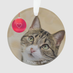 Süße benutzerdefinierte getigerte Katze mit Weihna Ornament