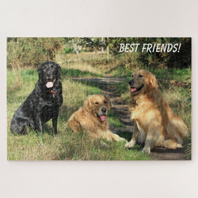 Süße beste Freundeshunde (Horizontal)
