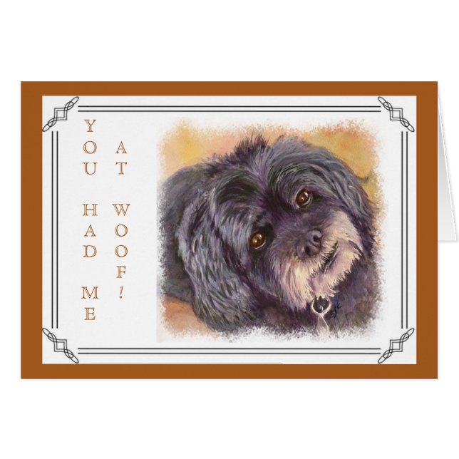 SÜSSE BLACK COCK-A-POO MIX (Vorderseite (Horizontal))