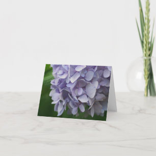 Süße Blaue Hortensienblüten-Fotografie-Notiz Karte