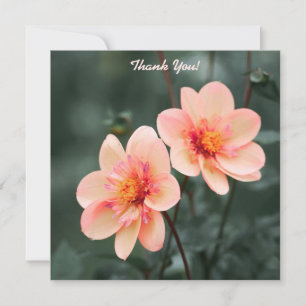 Süße Blumen Grüner Hintergrund Danke Mitteilungskarte