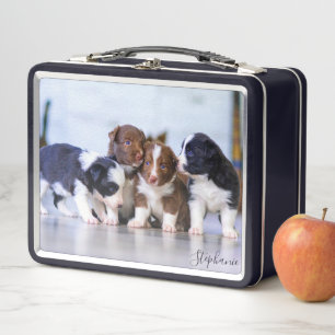 Süße Border Collie Welpen Metall Brotdose