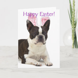 Süße Boston Terrier Osterkarte Feiertagskarte