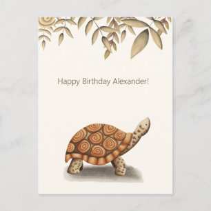 Süße braune personalisierte Schildkröte zum Geburt Postkarte