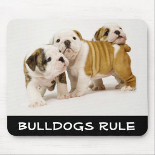 Süße Bulldoggen beherrschen Welpen beim Spielen Mo Mousepad