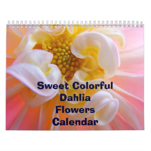 Süße bunte Dahlien-Blumen-Kalender Florals Kalender