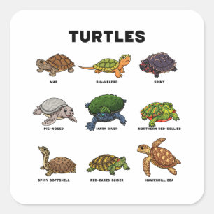 Süße Cartoon-Schildkröten der Welt Quadratischer Aufkleber