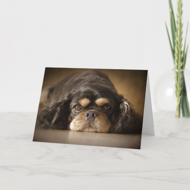 Süsse Cav! Karte (Vorderseite)