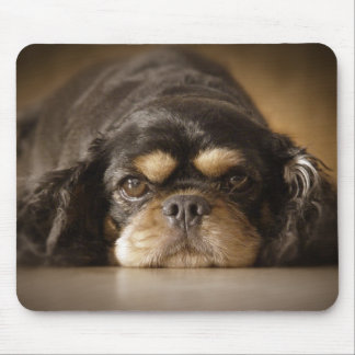 Süsse Cav! Mousepad