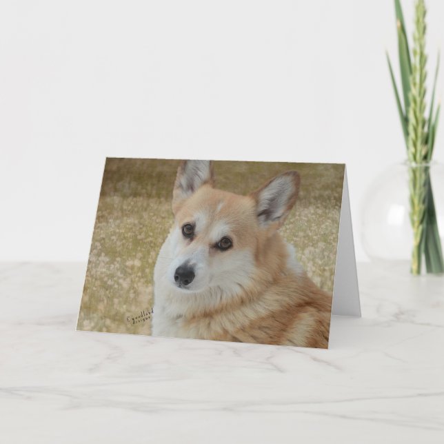 Süße Corgi-Gesichts-Karte Karte (Vorderseite)