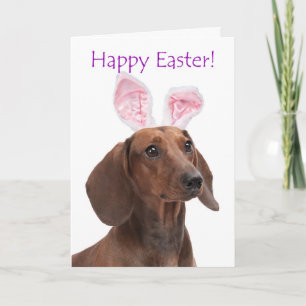 Süße Dachshund-Osterkarte Feiertagskarte
