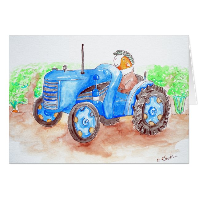 Süsse der Bauer Guinea Schweinefleisch (Vorderseite (Horizontal))