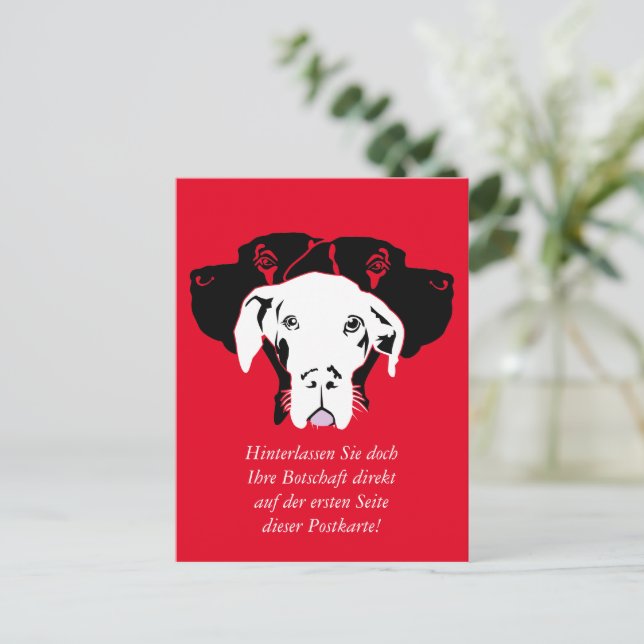 Süße Dogge in weiß Postkarte (Stehend Vorderseite)