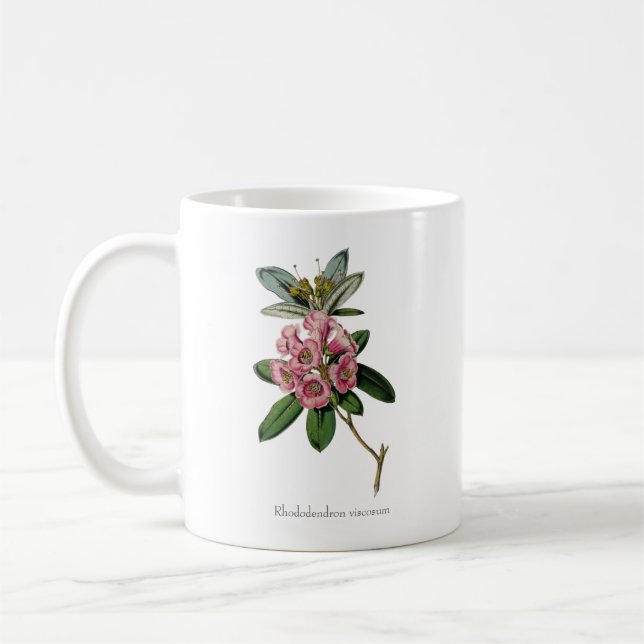 Süße Düfte des Sommers: Rhododendron Viskosum-Tass Kaffeetasse (Links)