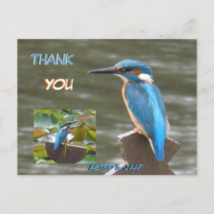 Süße Eisvögel Kunden. Danke Postkarte