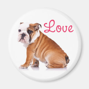 Süße Englische Bulldogge Liebhaber Lustiger Welpe Magnet