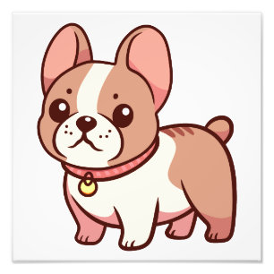 Süße Französische Bulldogge  Fotodruck