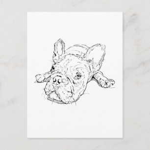 Süße Französische Bulldogge Postkarte