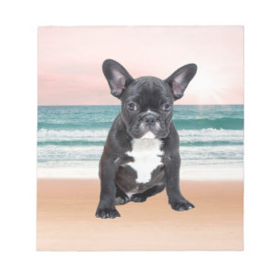 Süße Französische Bulldogge Strand Sonne Wasser Notizblock