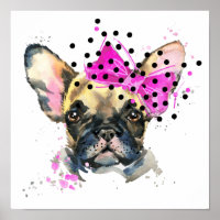 Süsse French Bull Dog