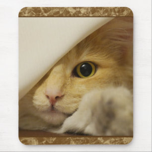 Süße gelbe Katzenmauspad Mousepad