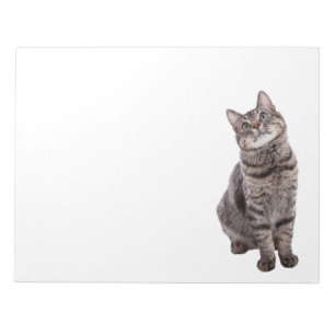 Süße getigerte Katze Notizblock